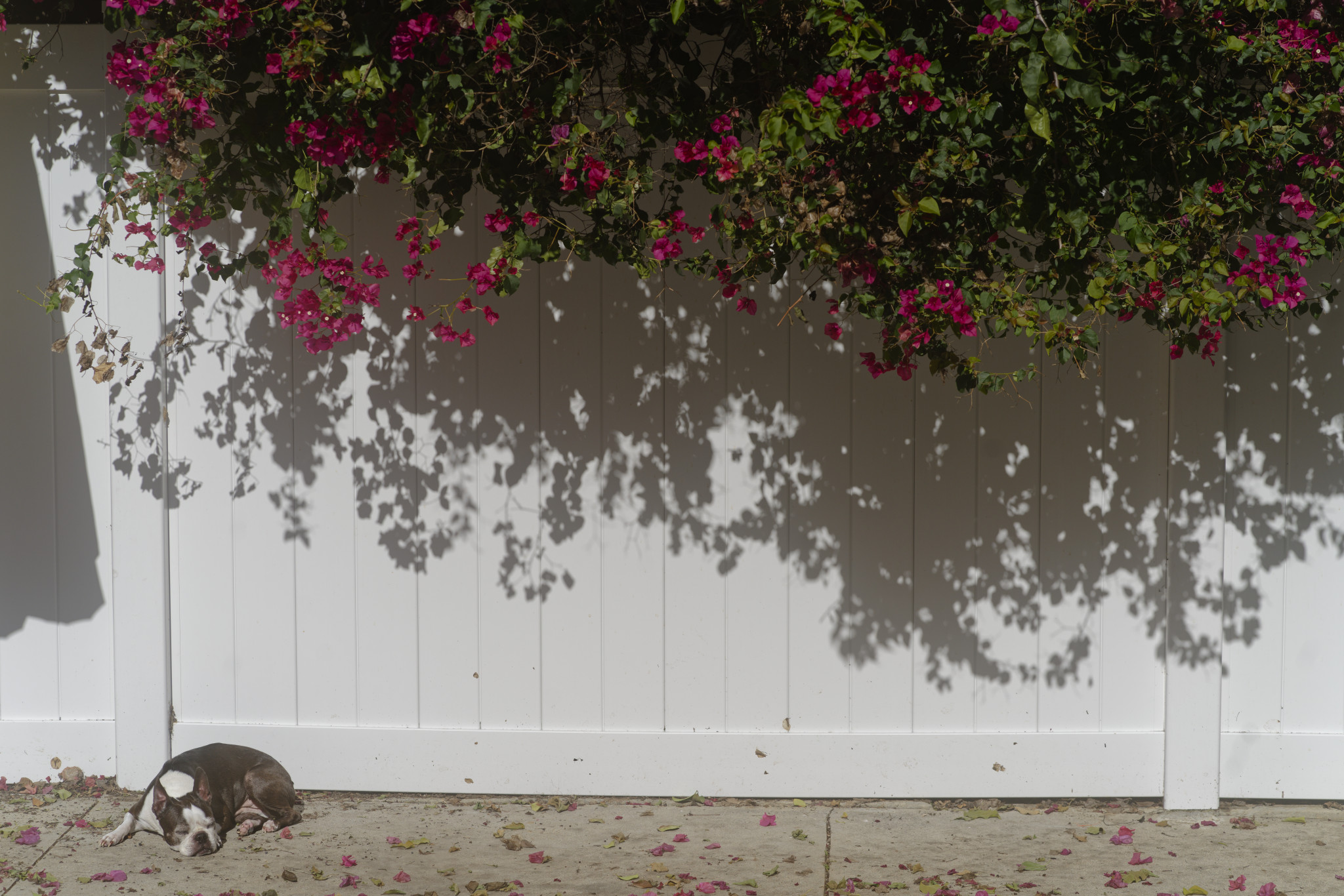 Photography Workflow 2026